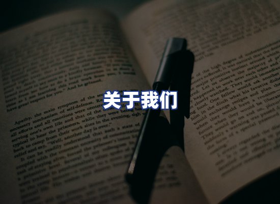 专业团队